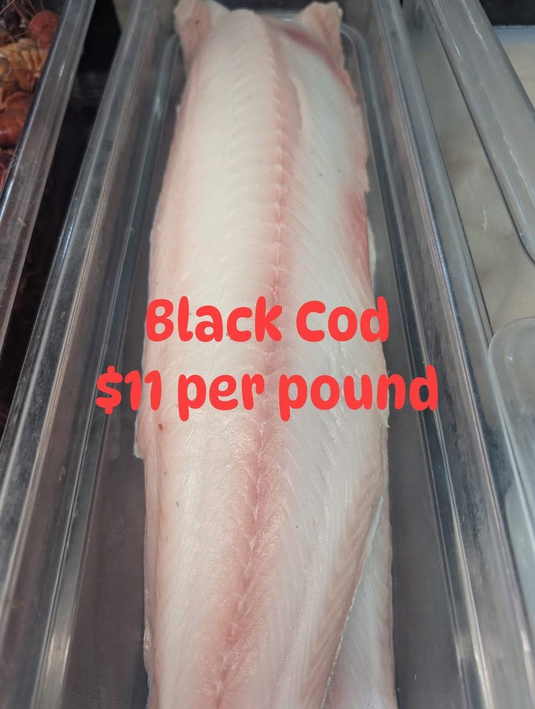 Black Cod