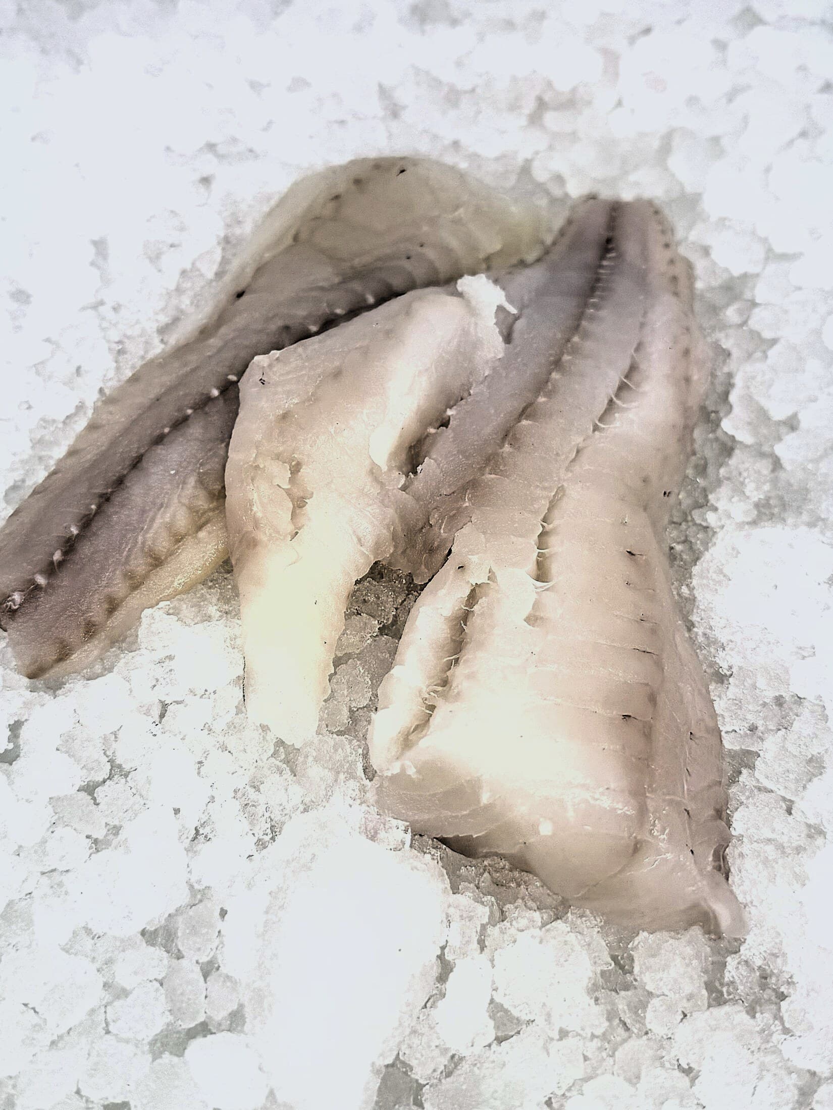 Cod
