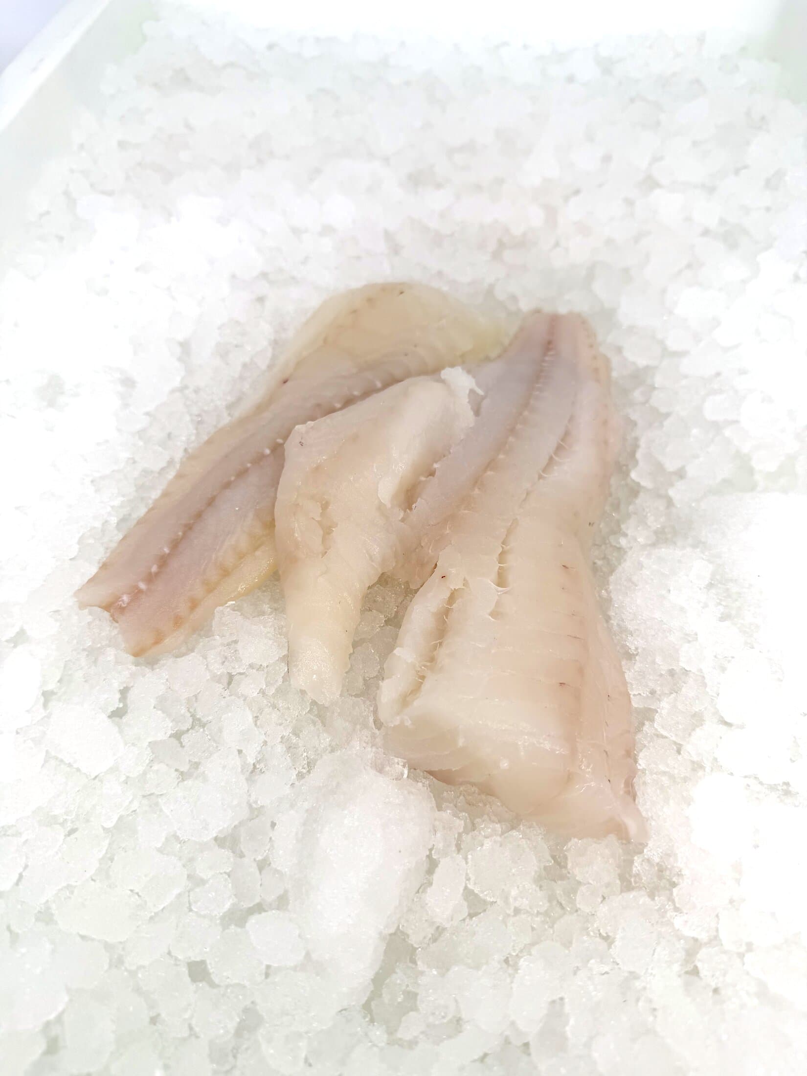 Cod