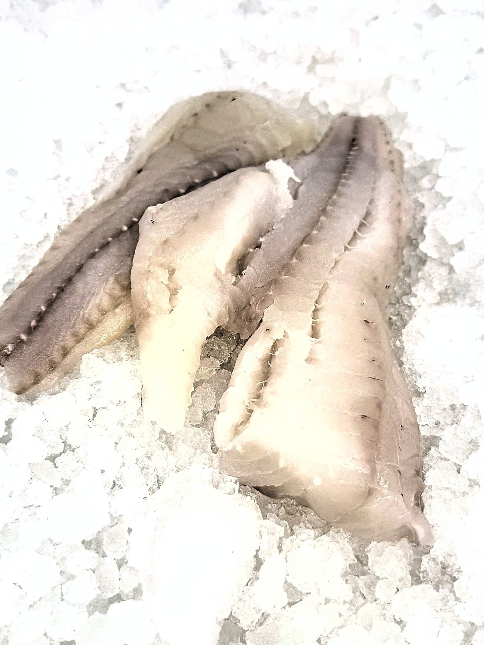 Cod