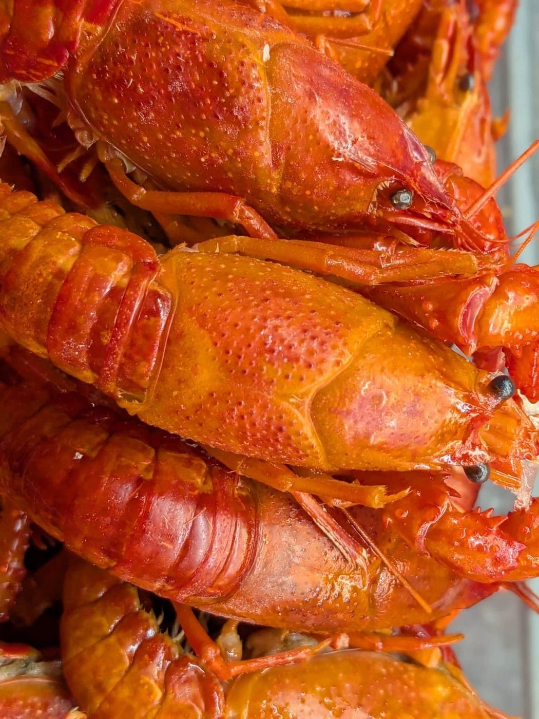 Crawfish