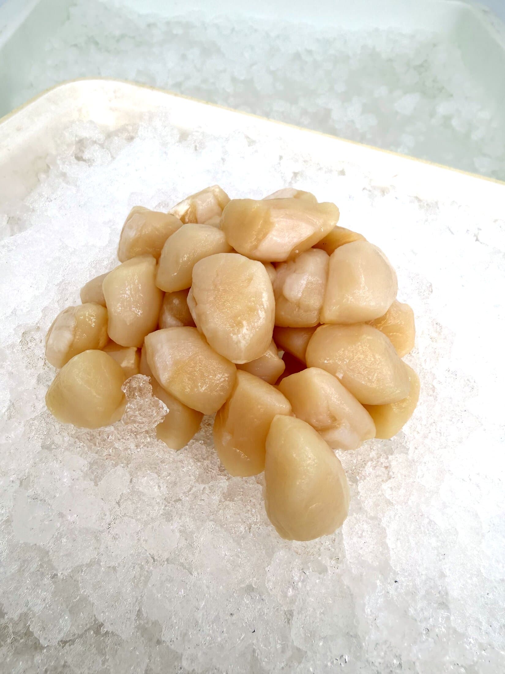 Dry Bay Scallops