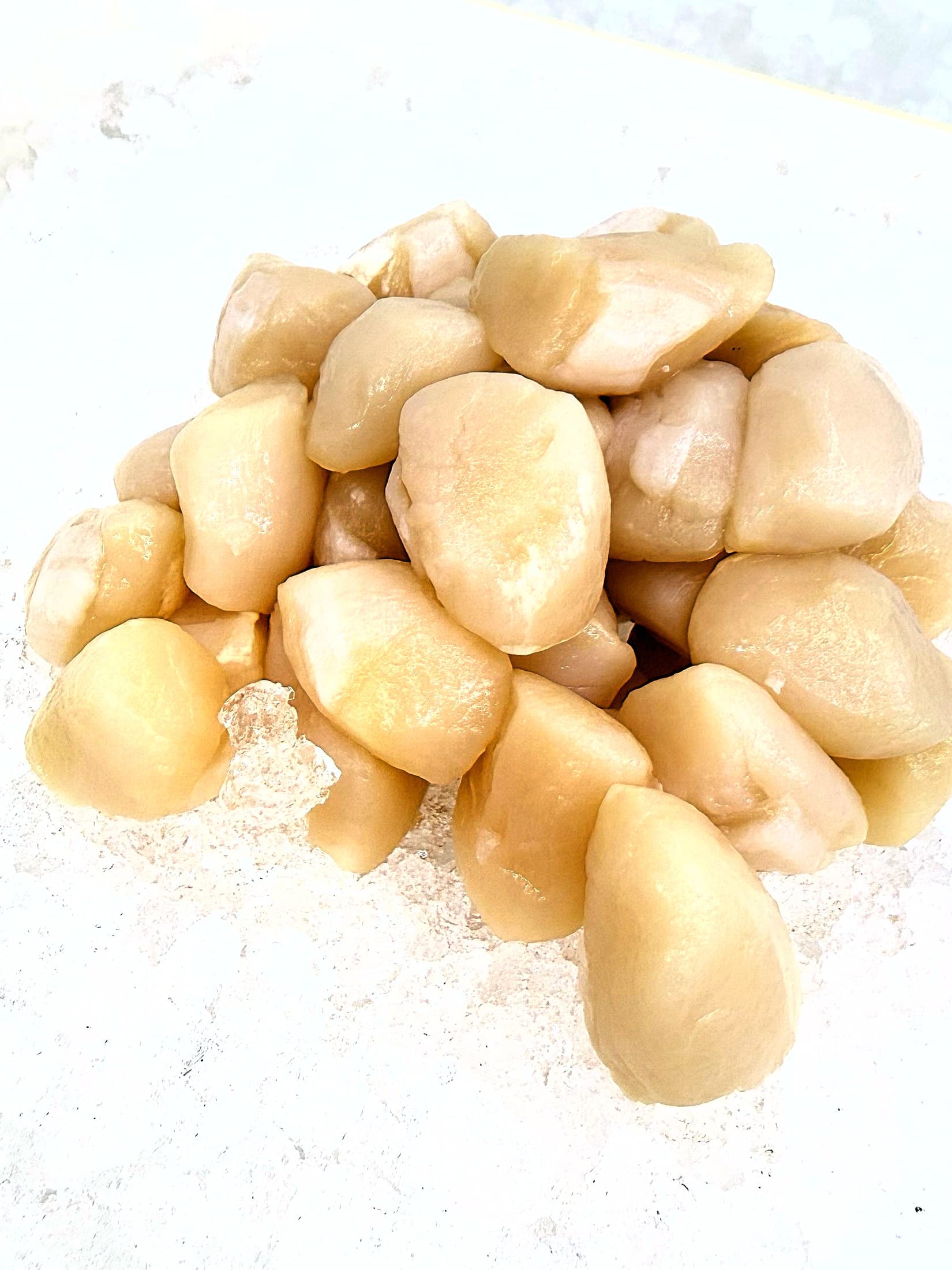 Dry Bay Scallops