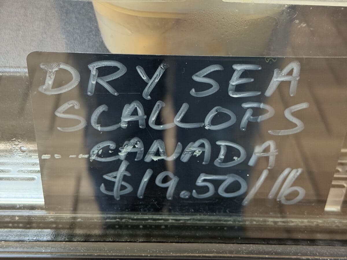 Dry Sea Scallops