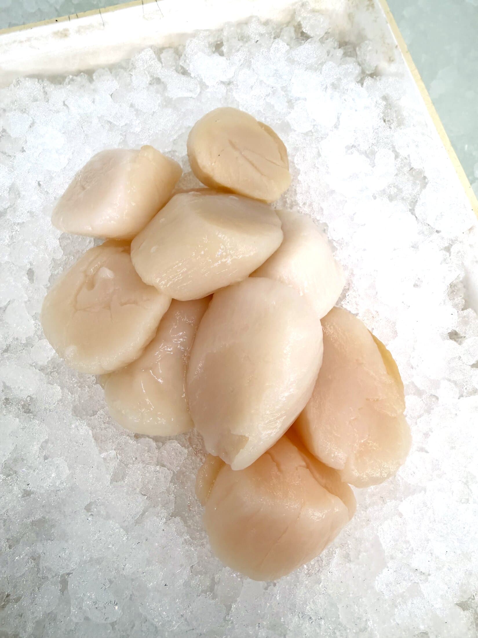 Dry Sea Scallops
