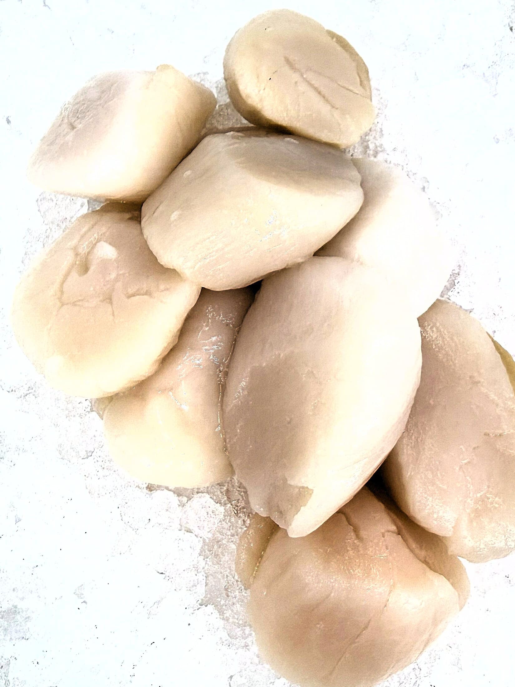 Dry Sea Scallops