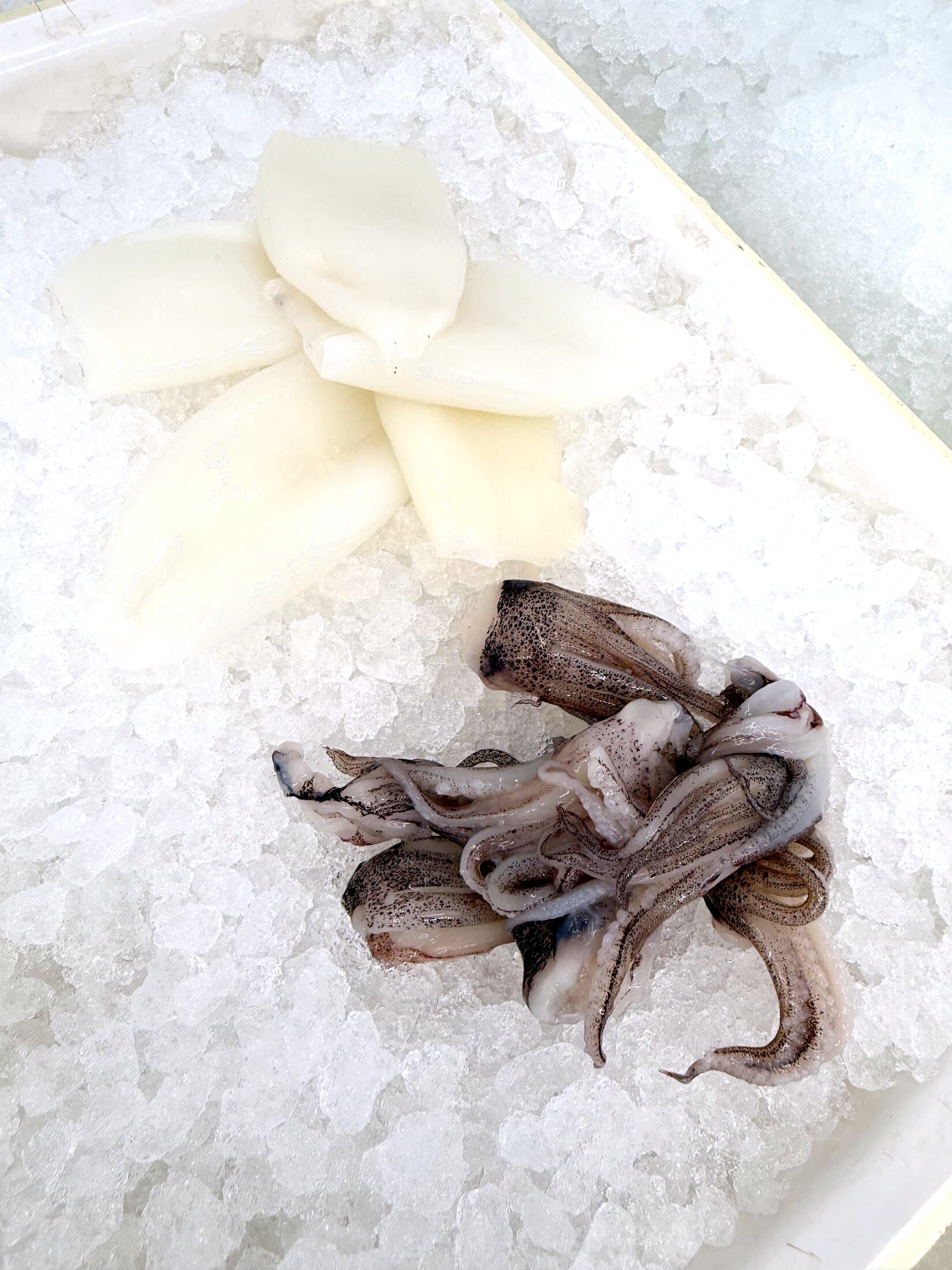 Fresh Calamari