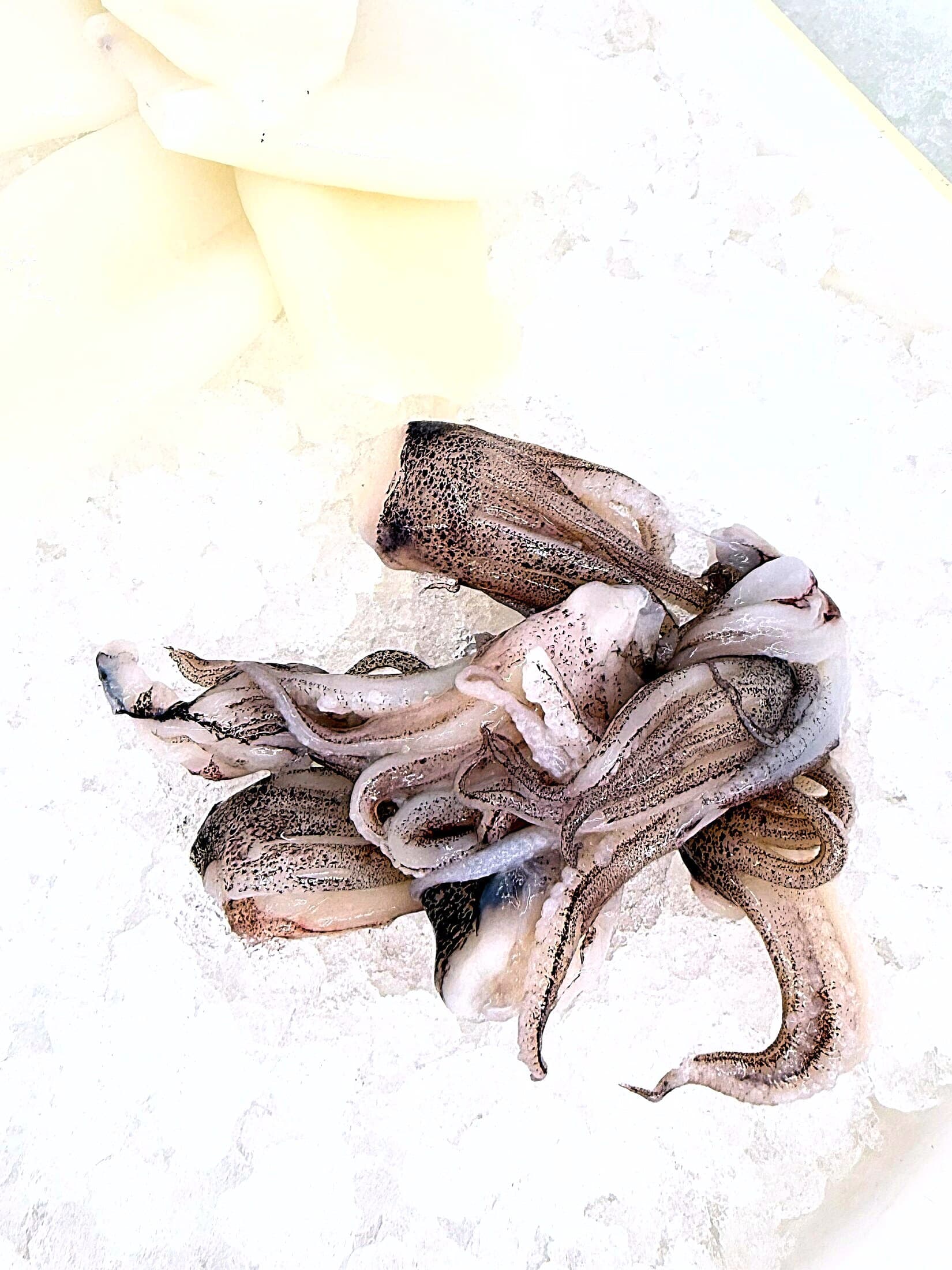 Fresh Calamari