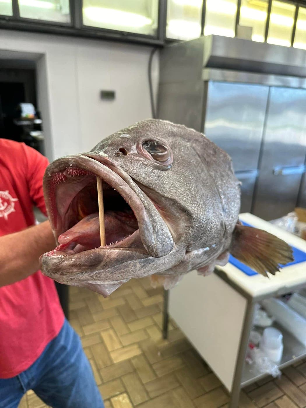 Grouper