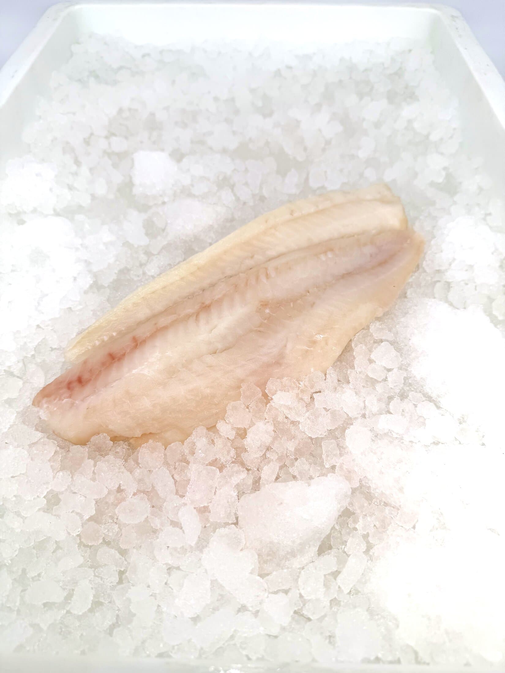 Haddock
