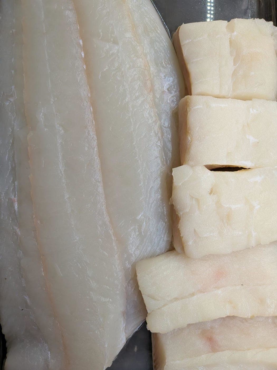 Halibut