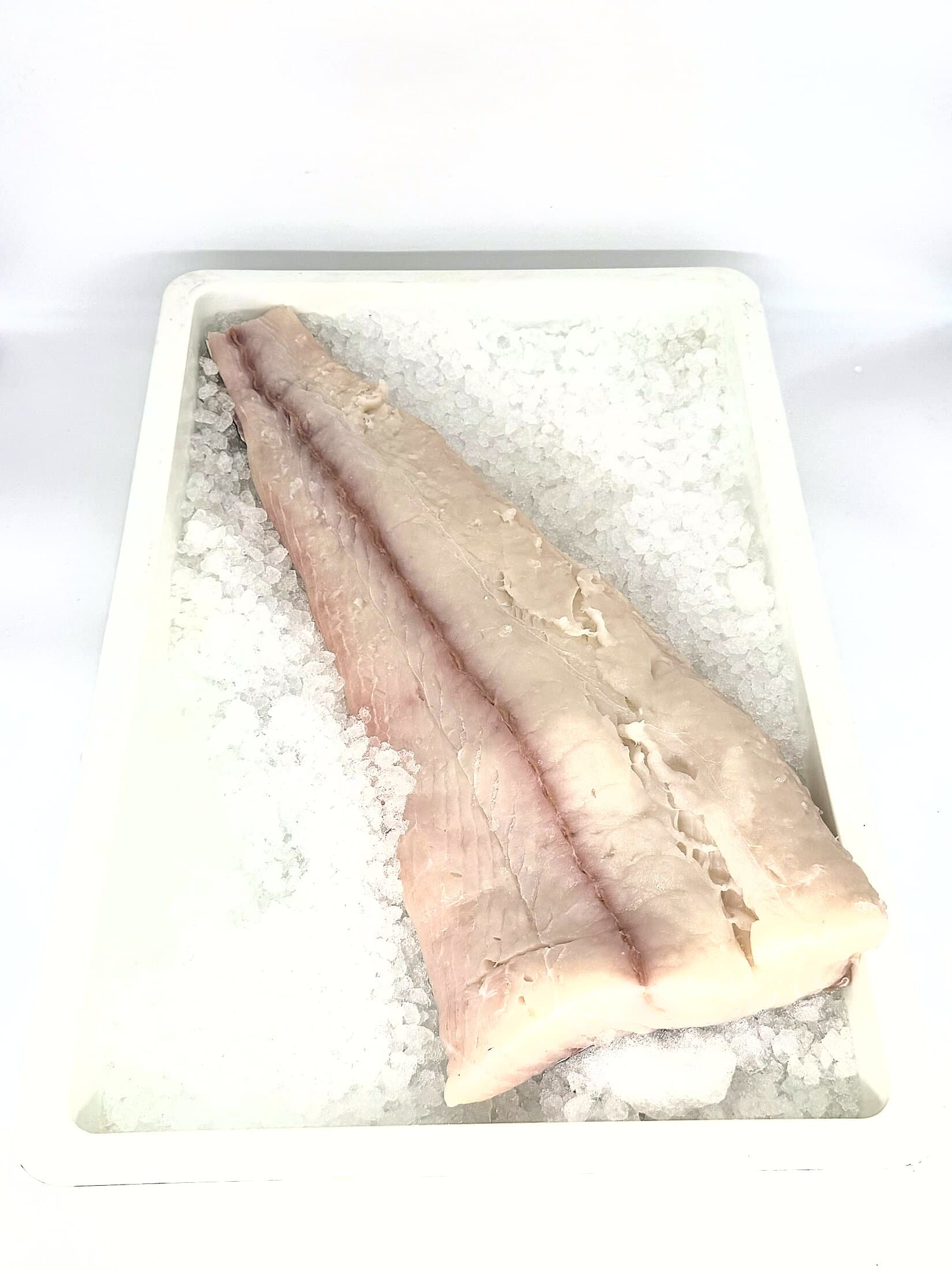Halibut