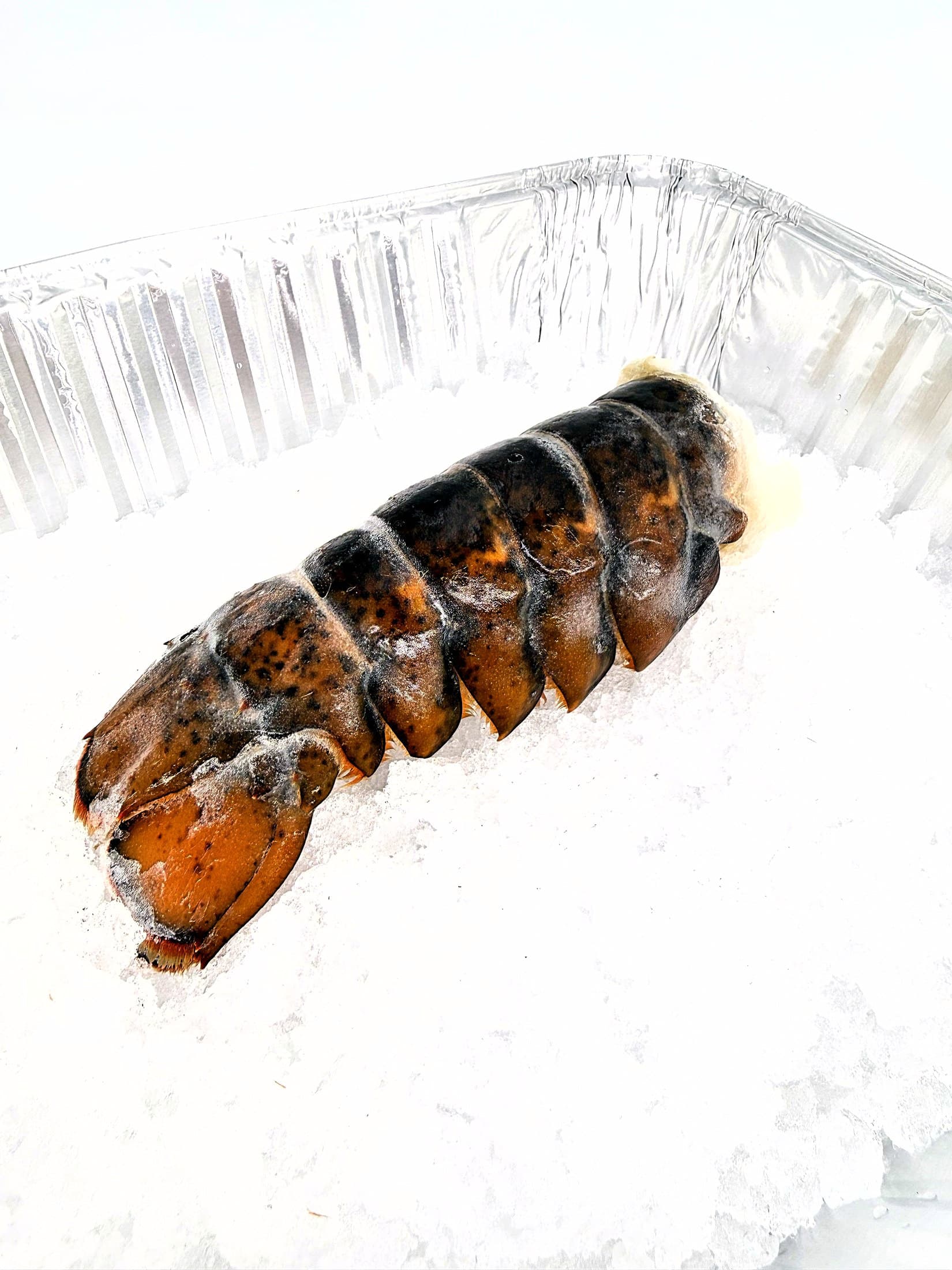 Lobster Tail 4 oz
