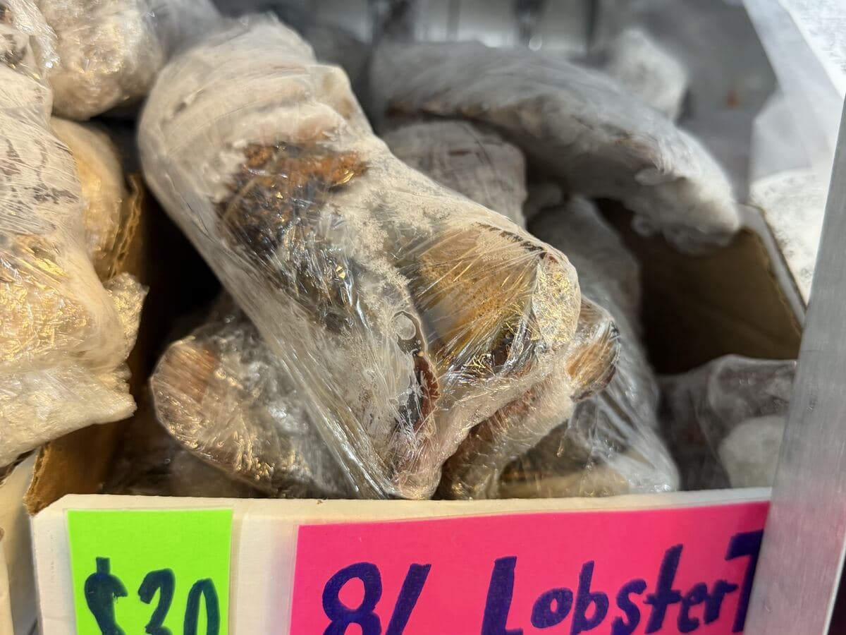Lobster Tail 8/10 oz