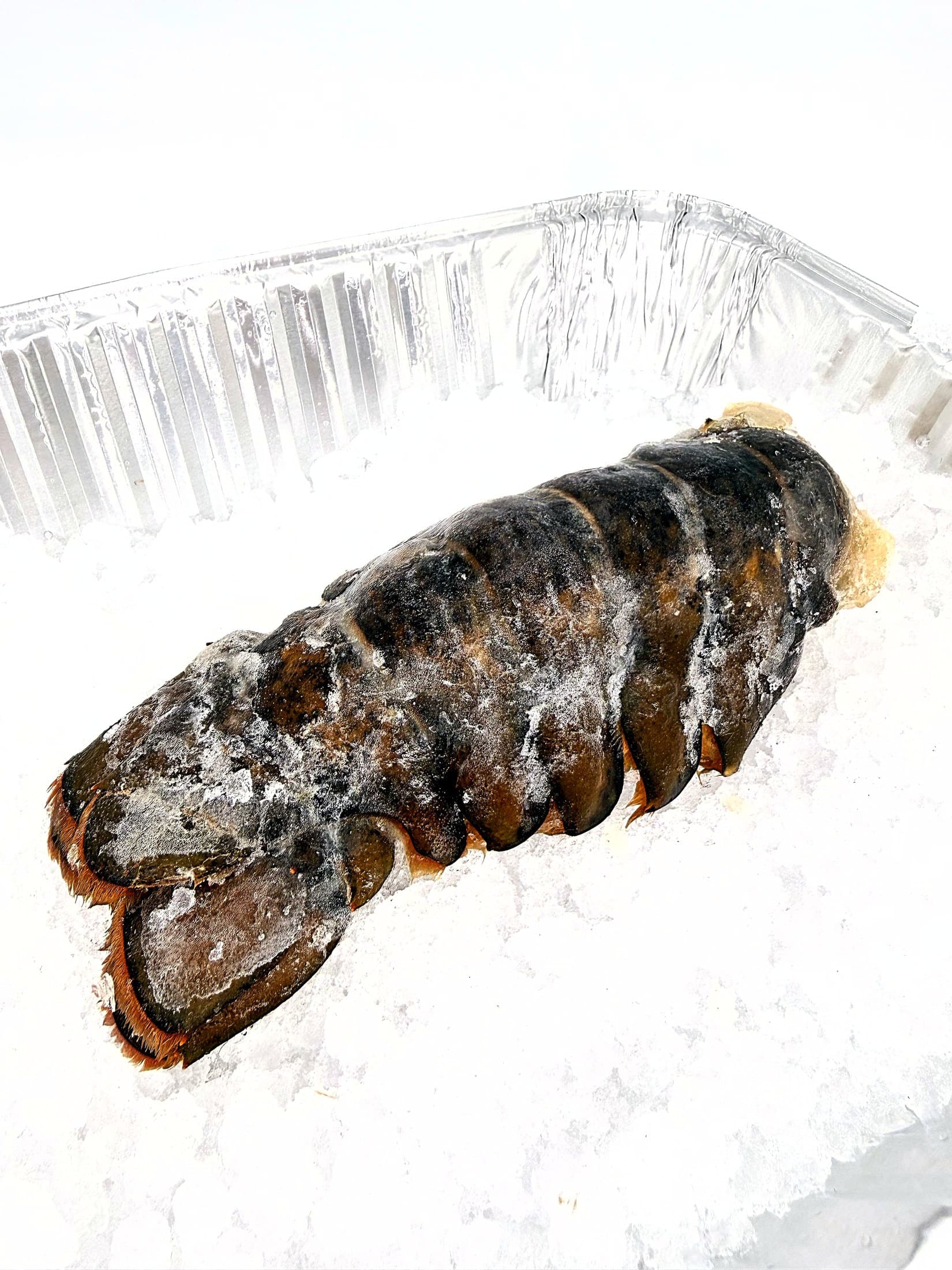 Lobster Tail 8/10 oz