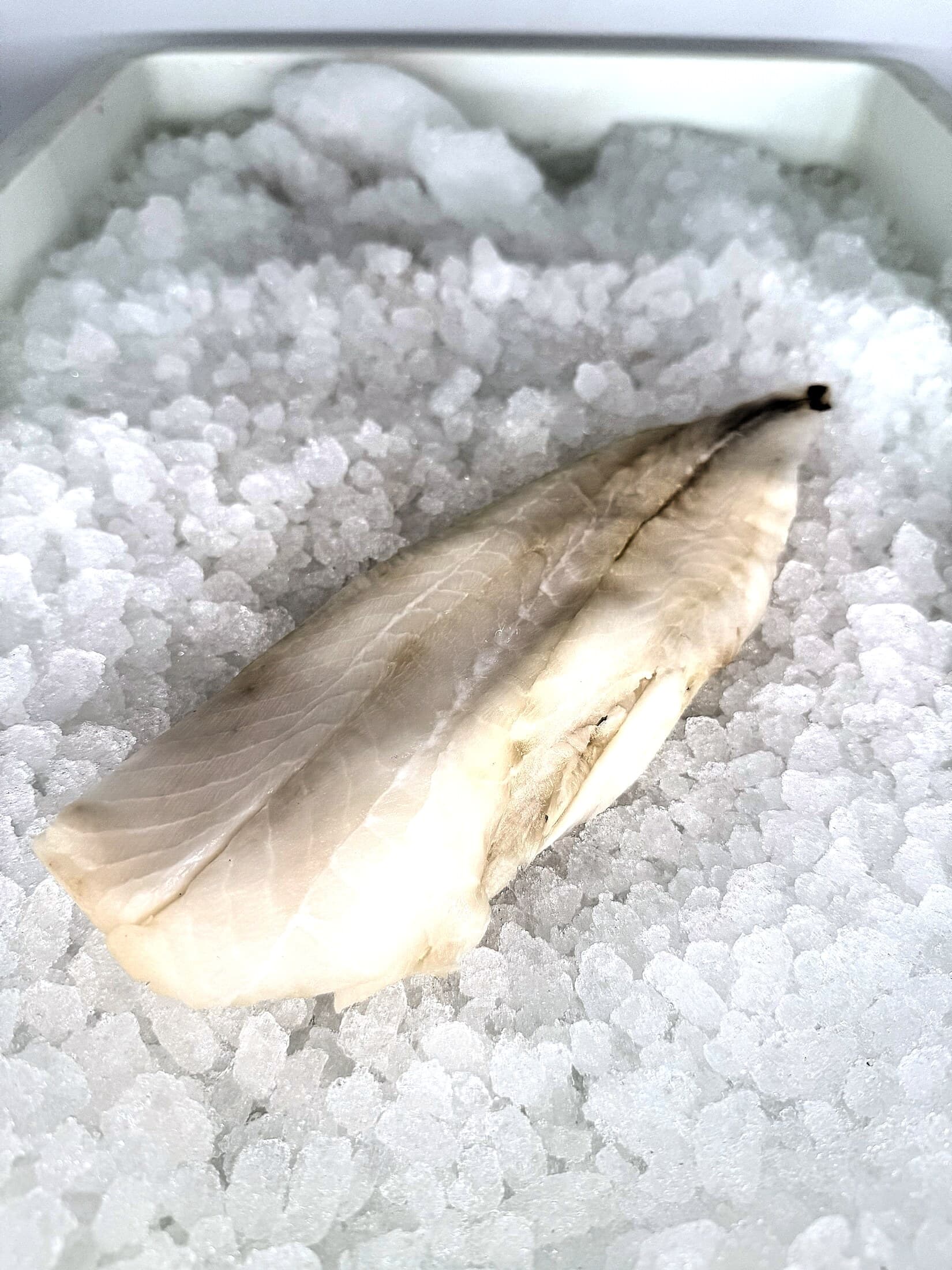 Orange Roughy
