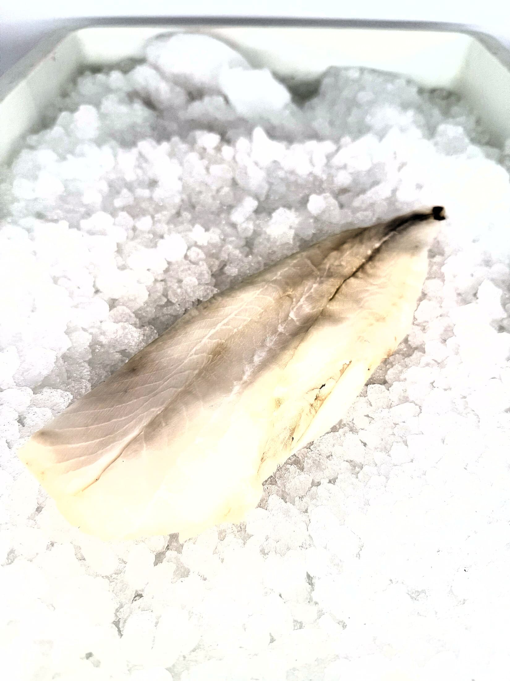 Orange Roughy