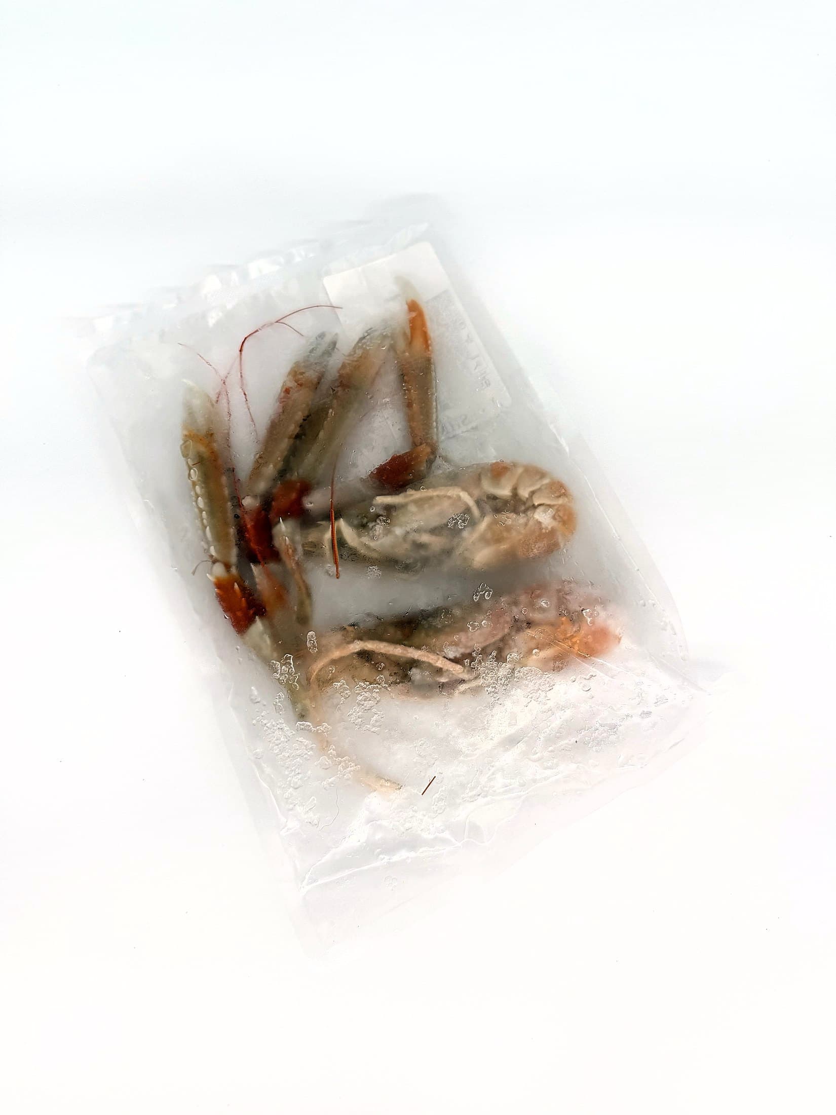 Prawn