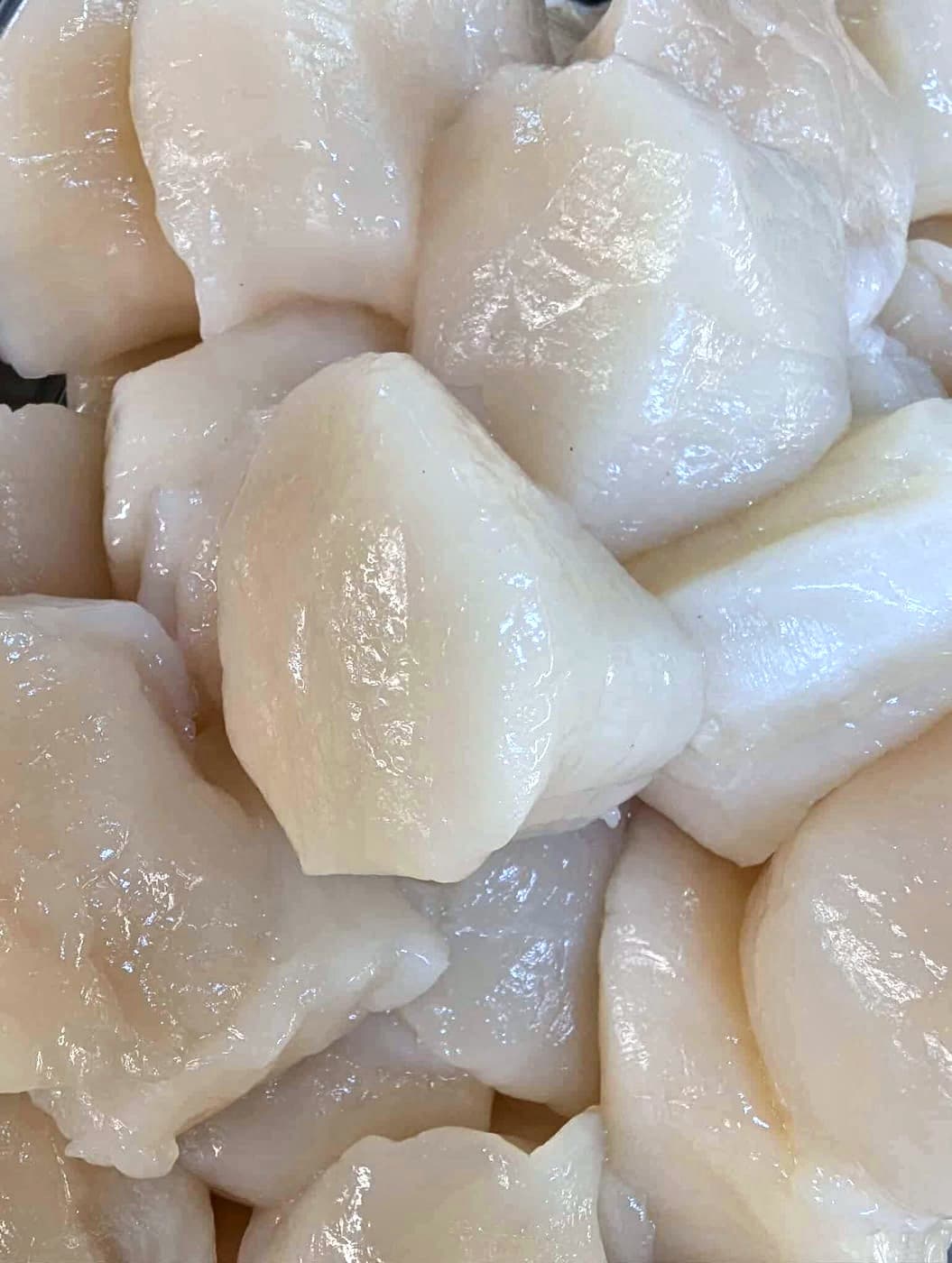 Sea Scallops