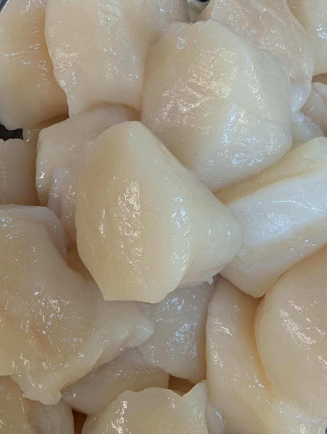 Sea Scallops