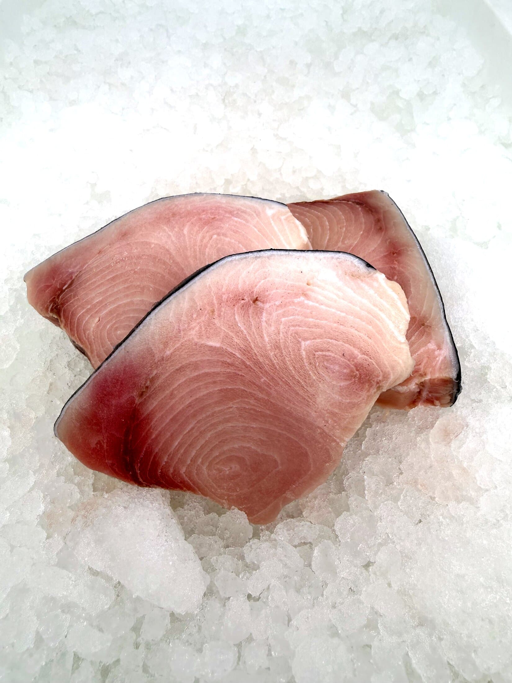 Swordfish