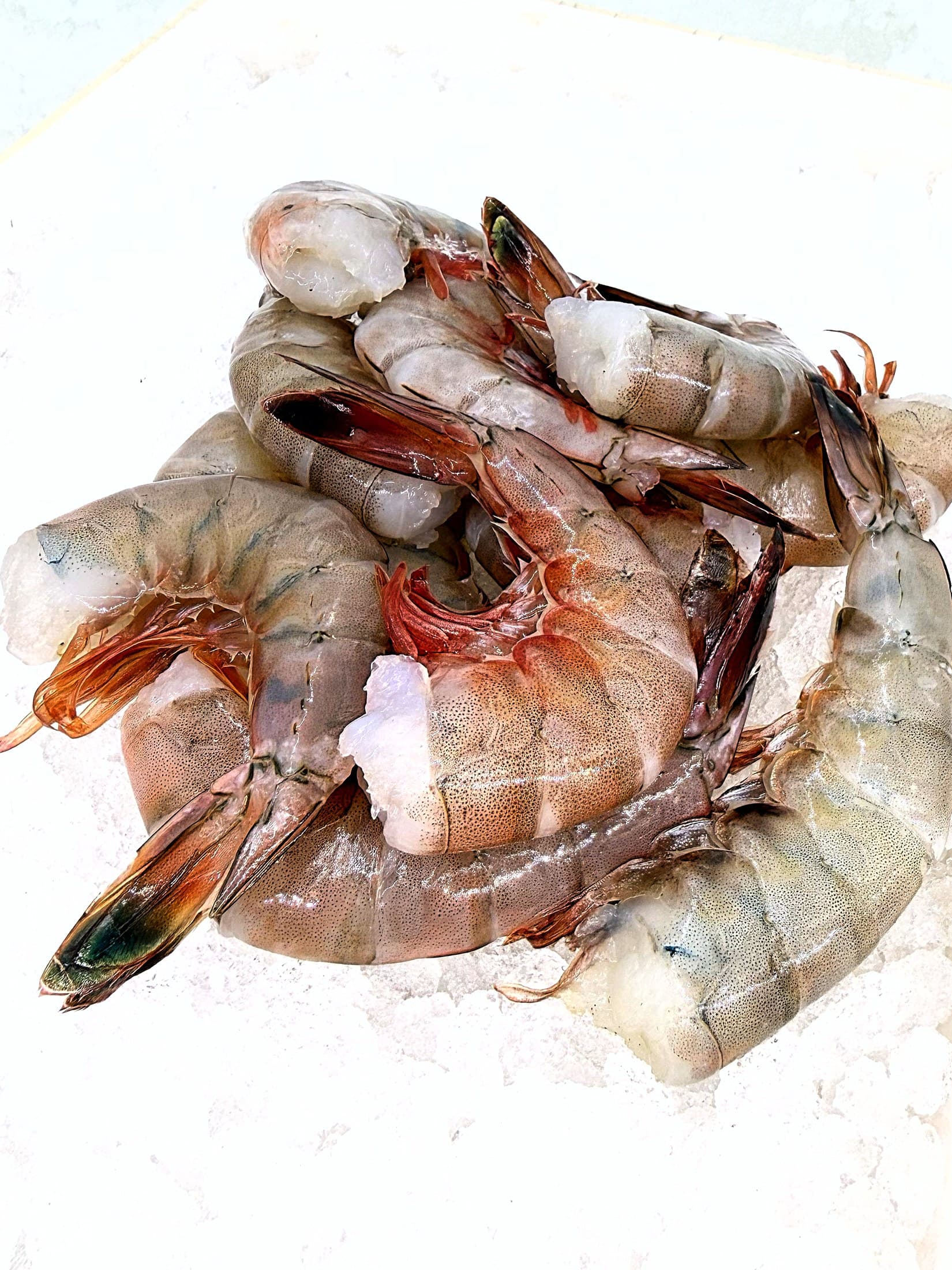 Tiger Shrimp