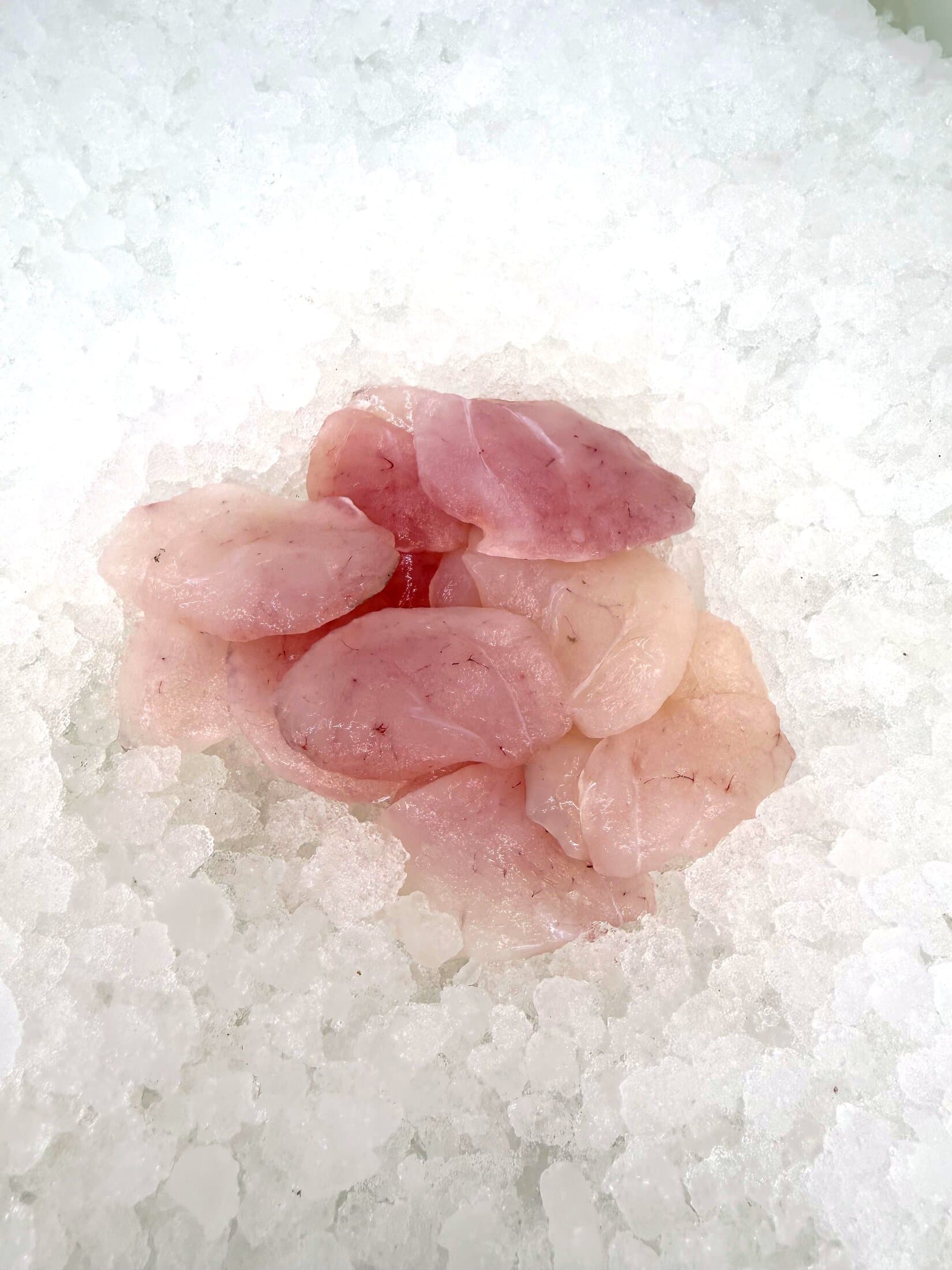 Walleye Cheeks