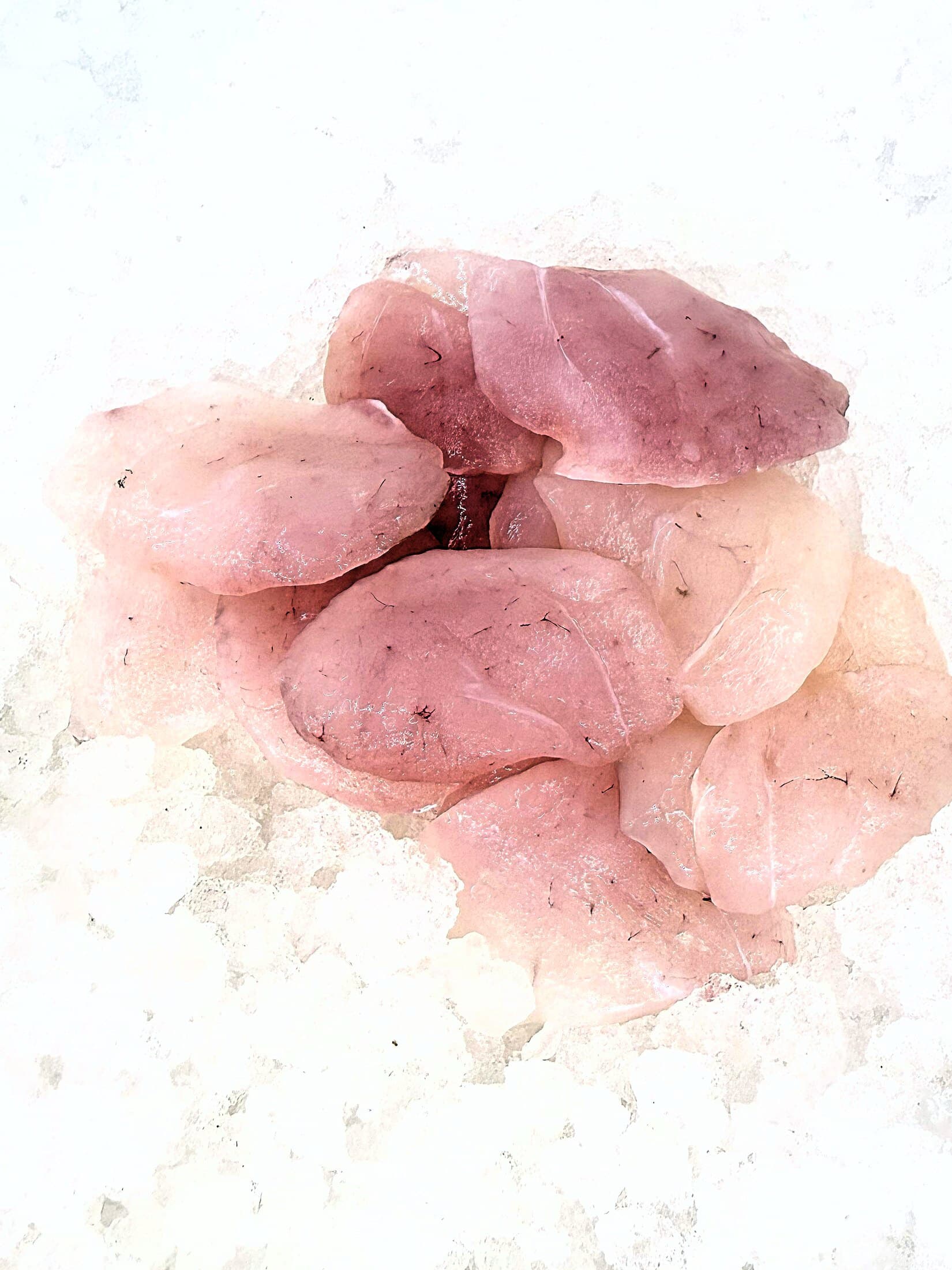 Walleye Cheeks