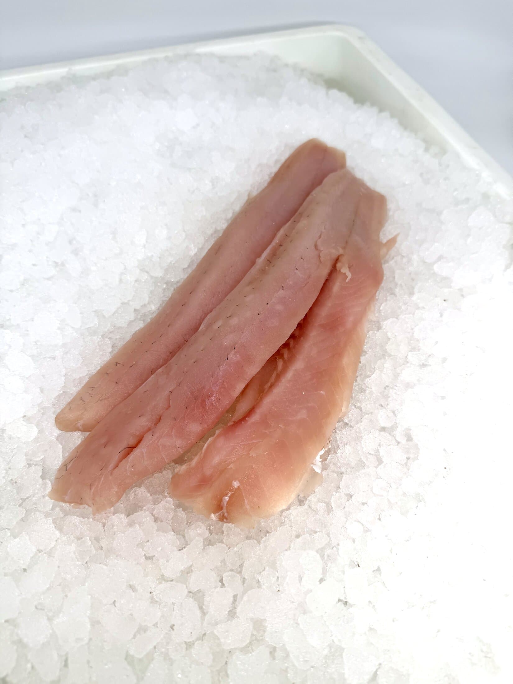 Walleye Fillets