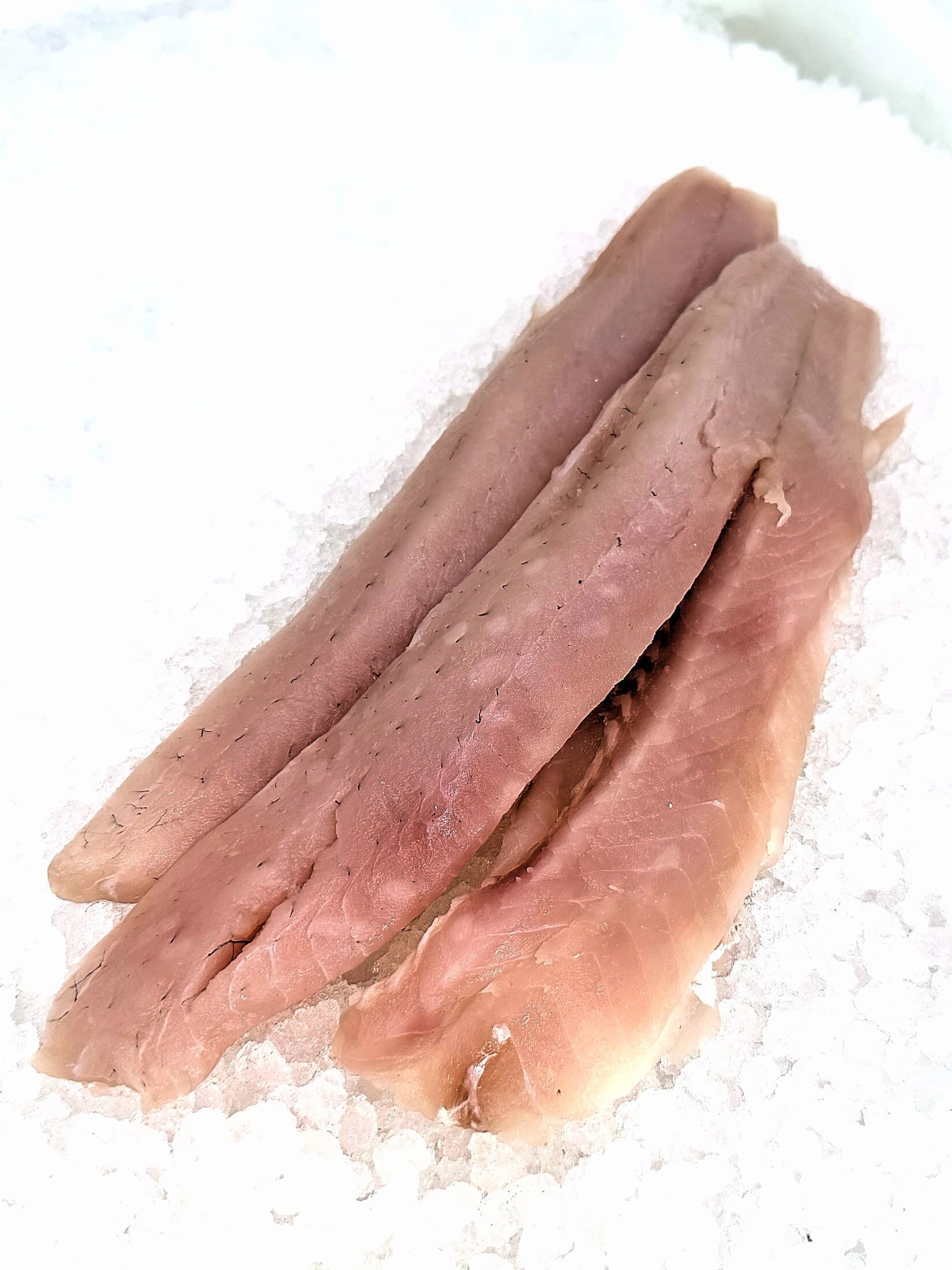 Walleye Fillets