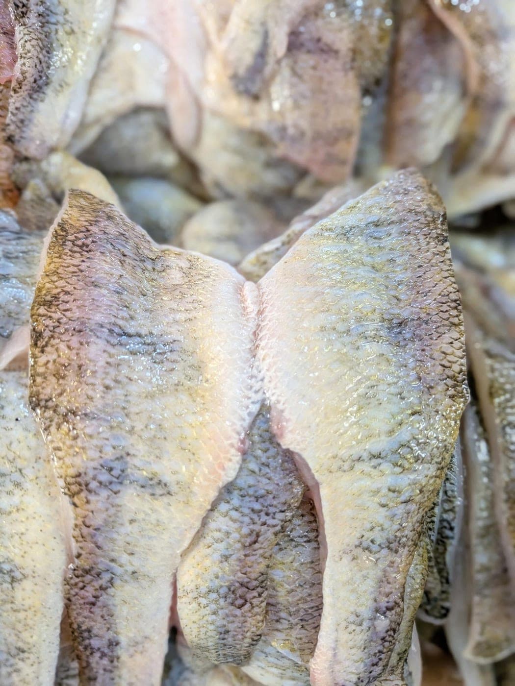 Yellow Perch fillets