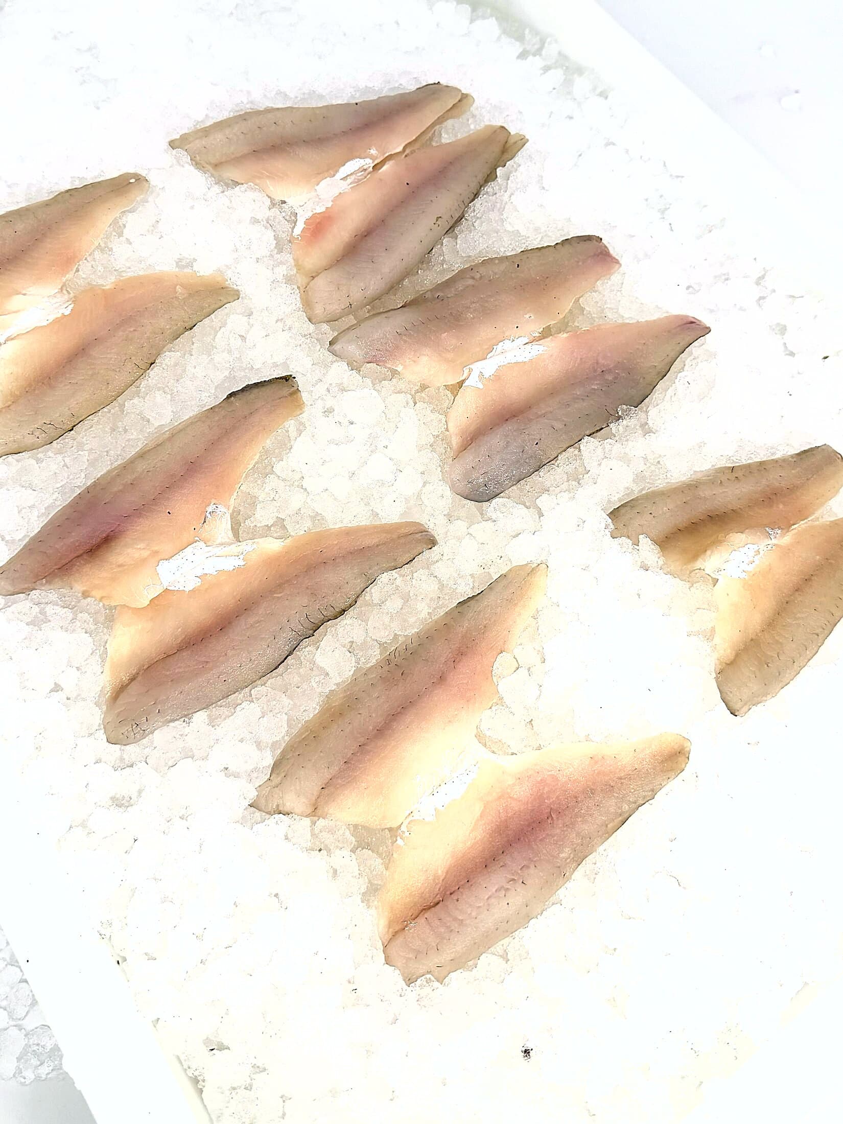 Yellow Perch fillets